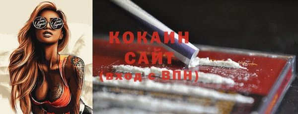прущая мука Бородино