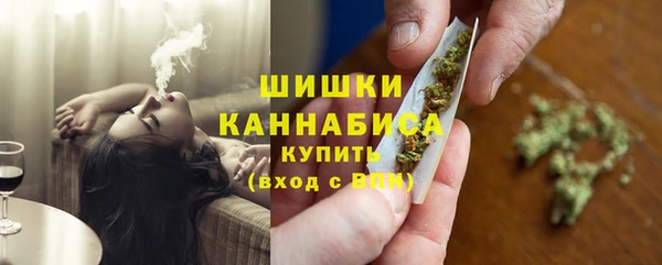 крисы Бронницы