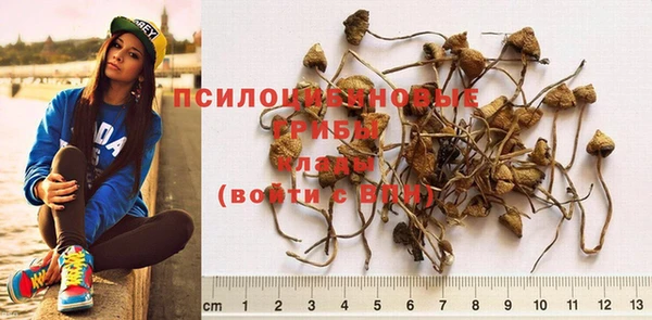 прущая мука Бородино