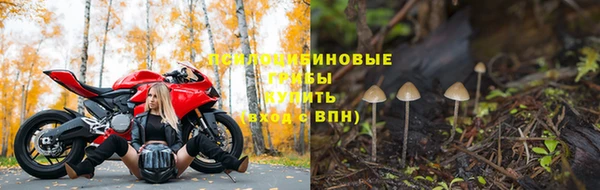 крисы Бронницы
