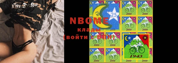 крисы Бронницы