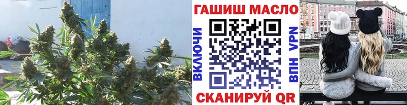 ТГК гашишное масло  наркота  Велиж 