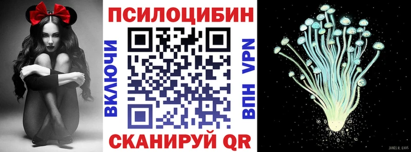 OMG зеркало  Велиж  Галлюциногенные грибы Magic Shrooms 